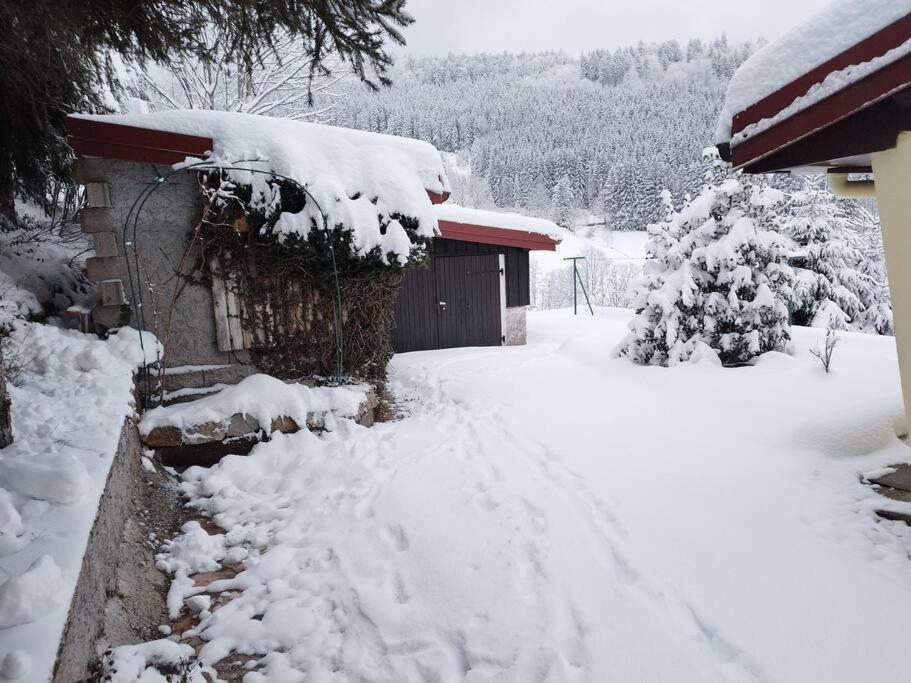 Maison De Montagne Vue Magnifique Ventron Exterior photo
