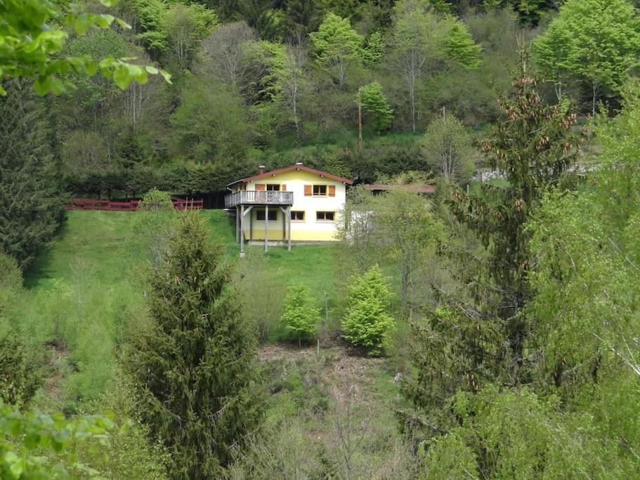 Maison De Montagne Vue Magnifique Ventron Exterior photo